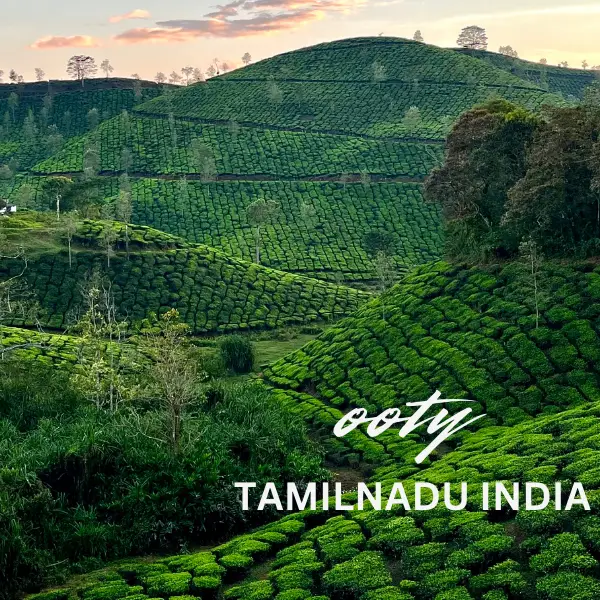 4 bangalore to ooty aryancabs.com