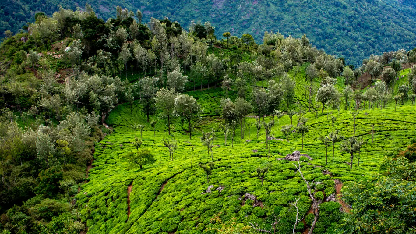 6 coorg trip