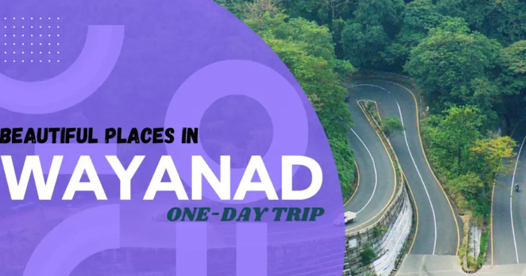 wayanad trip Bangalore to Wayanad: Your Ultimate Road Trip Guide