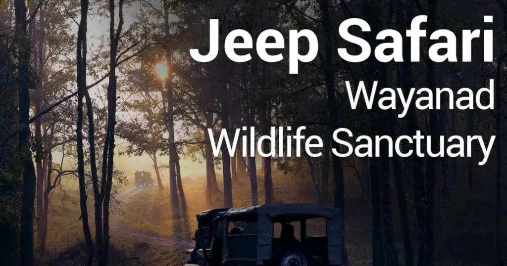 wilflife wayanad Wayanad Wildlife Sanctuary