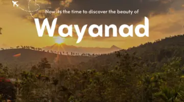 wyn wayanad