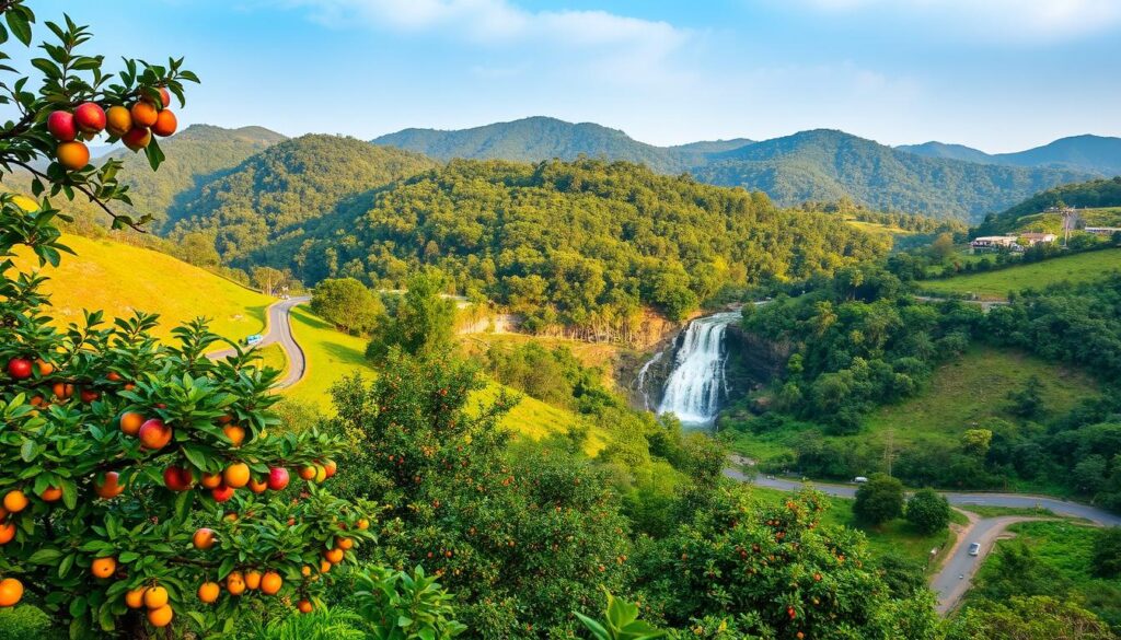 Yelagiri hill station